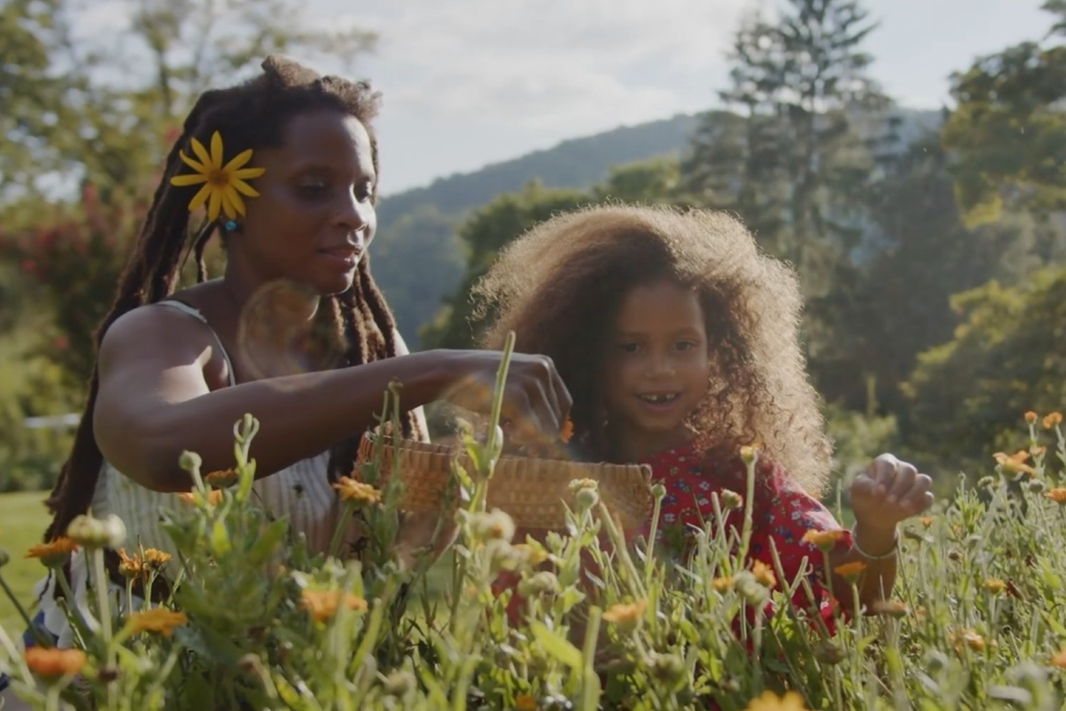 Still image from a promotional commercial for The Chestnut School of Herbal Medicine and their online foraging course