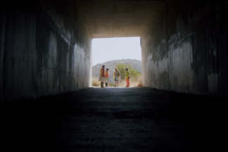 California Wildlife Reconnected Photo6