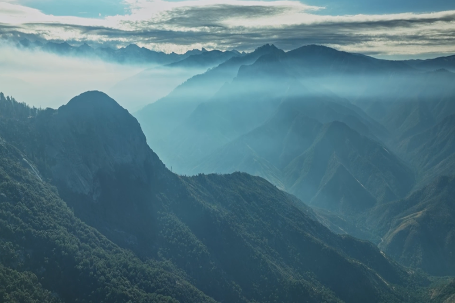 documentary video wildlife crossings thumbnail
